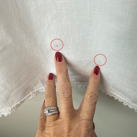 Lungo L'Arno Made In Italy 100% Linen Small Long Sleeve Lace Top Blouse Pintuck - Picture 8 of 11